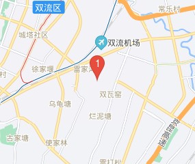 成都双流医师执业注册办事指南(成都双流医师执业注册办事指南电话)