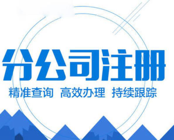 成都小公司注册流程文档介绍内容(成都小公司注册流程文档介绍内容怎么填)