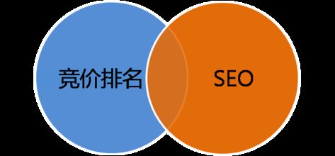 整站优化(整站优化和单词)