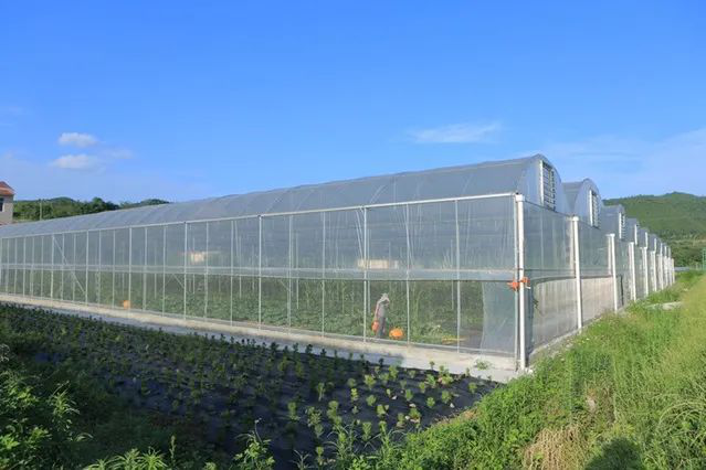 成都注册农业公司注意事项大全 成都注册农业公司注意事项大全咨询电话 