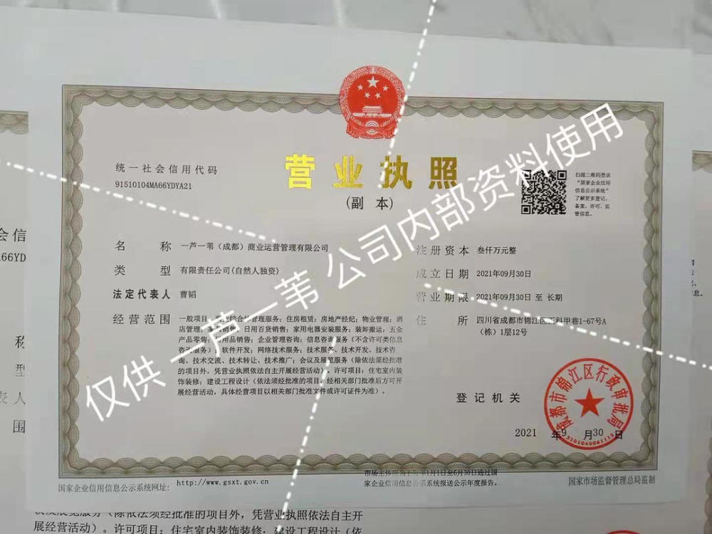 成都一人制公司注册 在成都注册一个公司至少要多少钱 