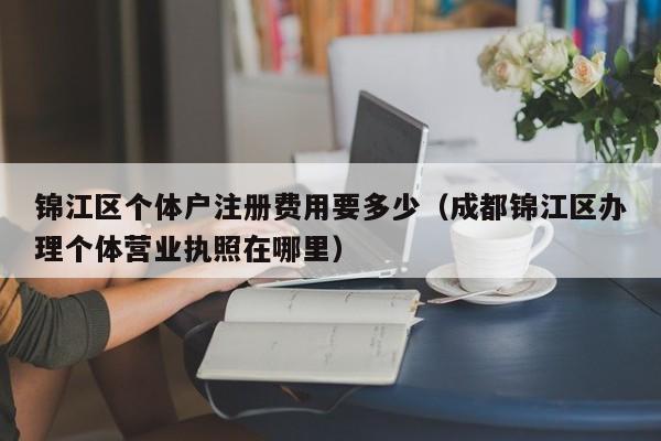 锦江区个体户注册费用要多少（成都锦江区办理个体营业执照在哪里）
