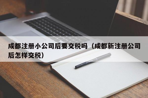 成都注册小公司后要交税吗（成都新注册公司后怎样交税）