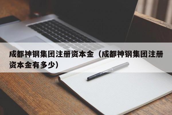 成都神钢集团注册资本金（成都神钢集团注册资本金有多少）