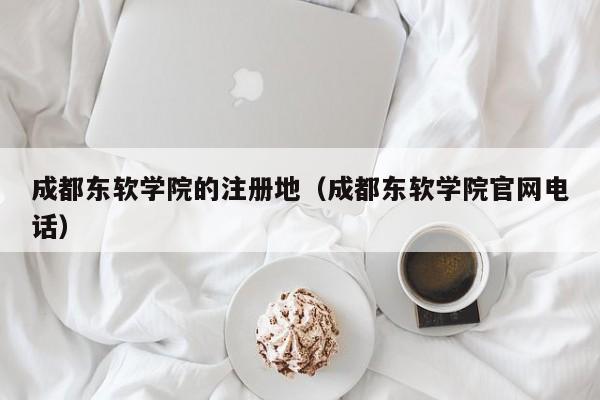成都东软学院的注册地（成都东软学院官网电话）