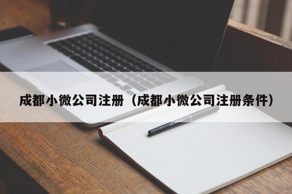 成都小微公司注册（成都小微公司注册条件）