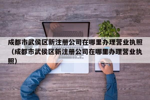 成都市武侯区新注册公司在哪里办理营业执照（成都市武侯区新注册公司在哪里办理营业执照）