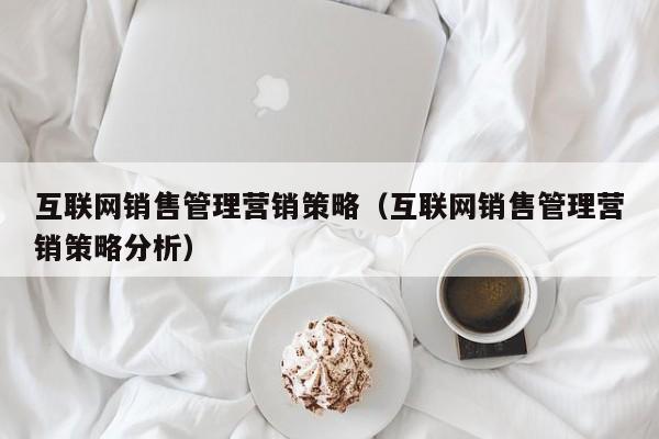 互联网销售管理营销策略（互联网销售管理营销策略分析）