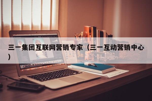 三一集团互联网营销专家（三一互动营销中心）