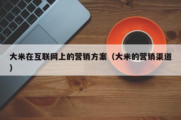 大米在互联网上的营销方案（大米的营销渠道）