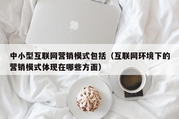 中小型互联网营销模式包括（互联网环境下的营销模式体现在哪些方面）