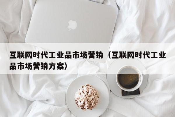 互联网时代工业品市场营销（互联网时代工业品市场营销方案）