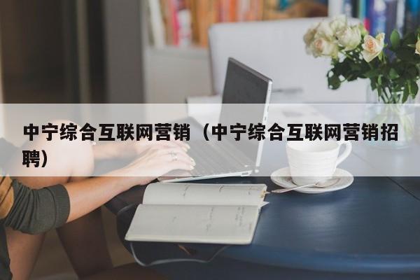 中宁综合互联网营销（中宁综合互联网营销招聘）