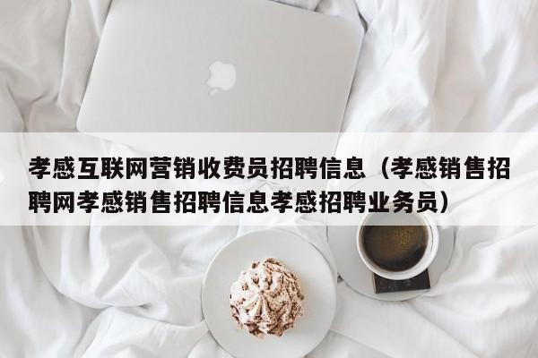 孝感互联网营销收费员招聘信息（孝感销售招聘网孝感销售招聘信息孝感招聘业务员）