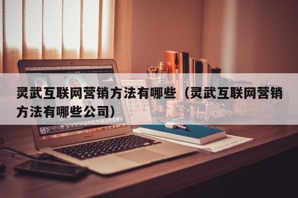 灵武互联网营销方法有哪些（灵武互联网营销方法有哪些公司）