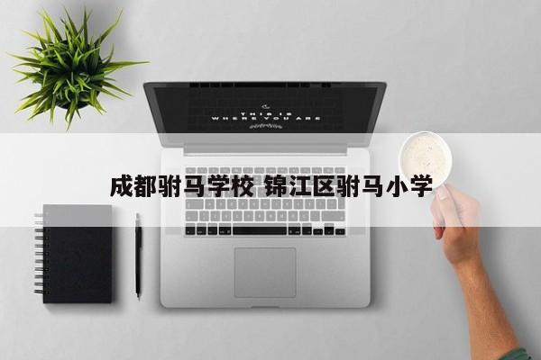 成都驸马学校 锦江区驸马小学