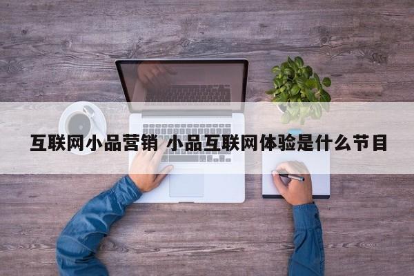 互联网小品营销 小品互联网体验是什么节目