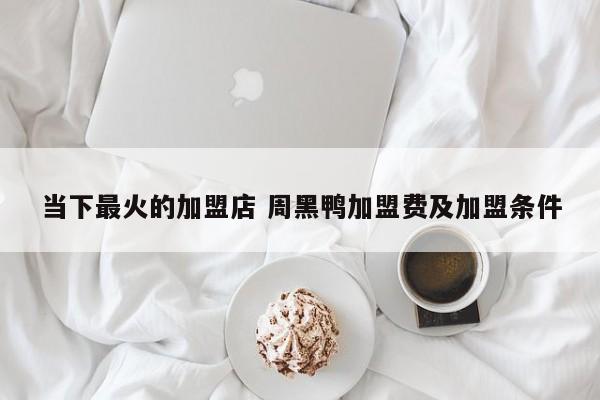 当下最火的加盟店 周黑鸭加盟费及加盟条件