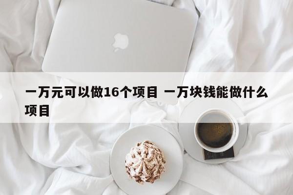 一万元可以做16个项目 一万块钱能做什么项目
