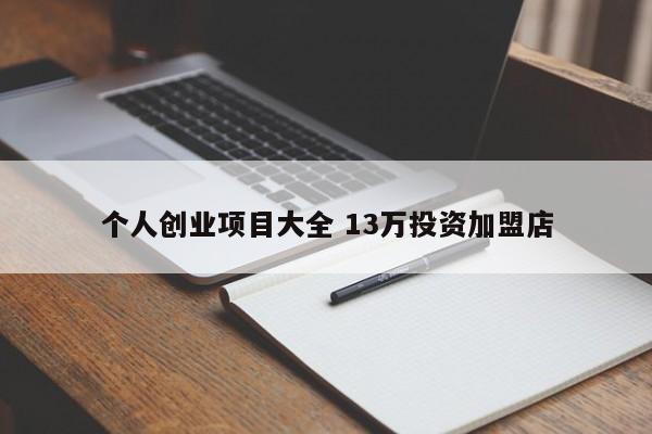 个人创业项目大全 13万投资加盟店