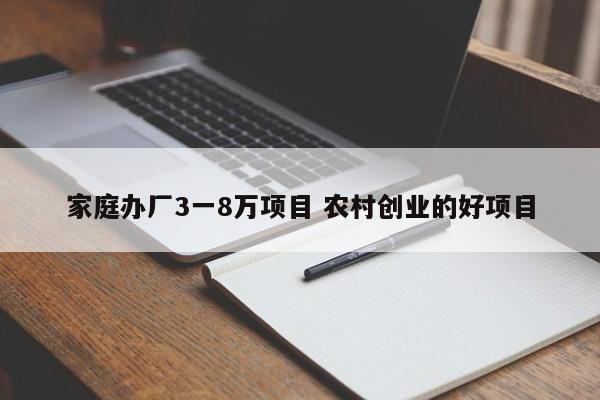家庭办厂3一8万项目 农村创业的好项目