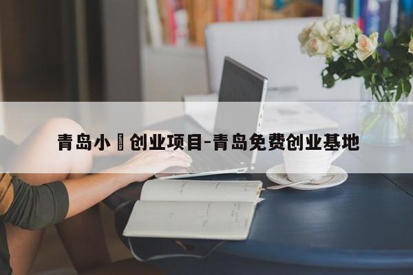 青岛小嫚创业项目-青岛免费创业基地