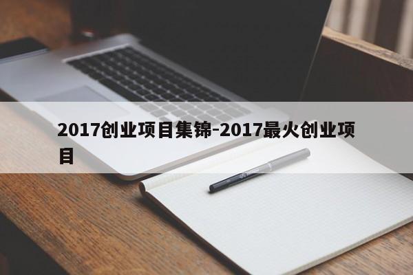 2017创业项目集锦-2017最火创业项目