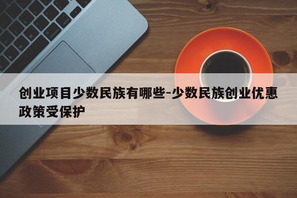 创业项目少数民族有哪些-少数民族创业优惠政策受保护