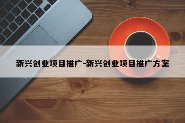 新兴创业项目推广-新兴创业项目推广方案