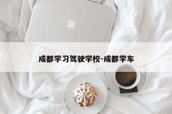 成都学习驾驶学校-成都学车