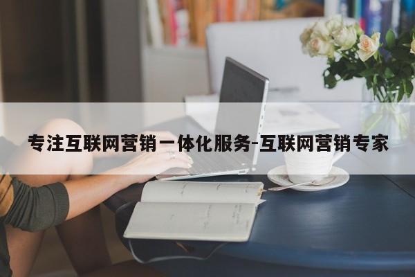 专注互联网营销一体化服务-互联网营销专家