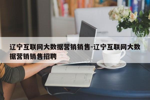 辽宁互联网大数据营销销售-辽宁互联网大数据营销销售招聘