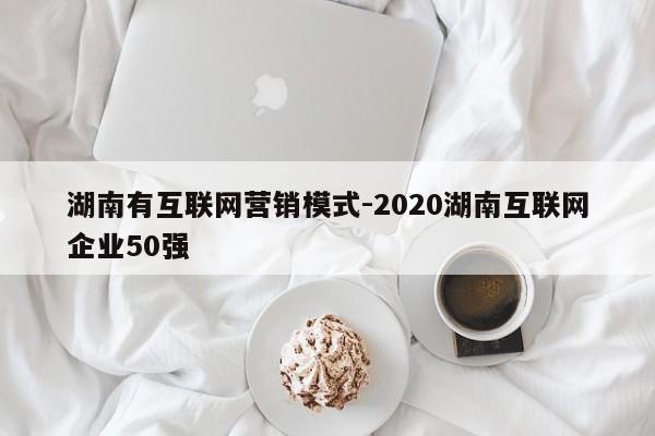 湖南有互联网营销模式-2020湖南互联网企业50强