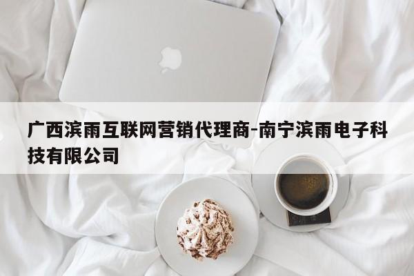 广西滨雨互联网营销代理商-南宁滨雨电子科技有限公司