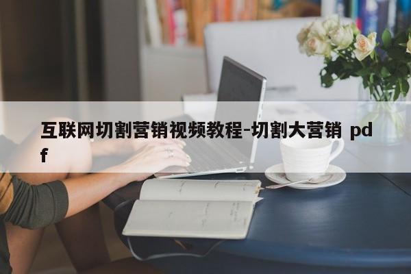 互联网切割营销视频教程-切割大营销 pdf