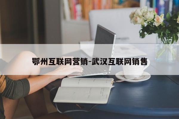 鄂州互联网营销-武汉互联网销售