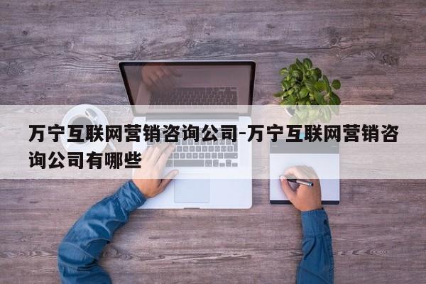 万宁互联网营销咨询公司-万宁互联网营销咨询公司有哪些