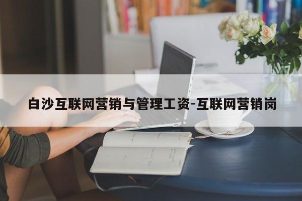 白沙互联网营销与管理工资-互联网营销岗