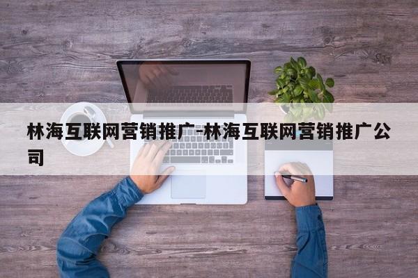 林海互联网营销推广-林海互联网营销推广公司