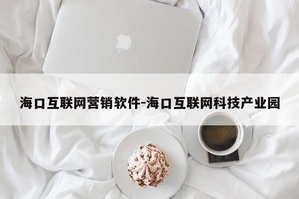 海口互联网营销软件-海口互联网科技产业园