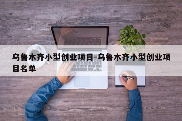 乌鲁木齐小型创业项目-乌鲁木齐小型创业项目名单