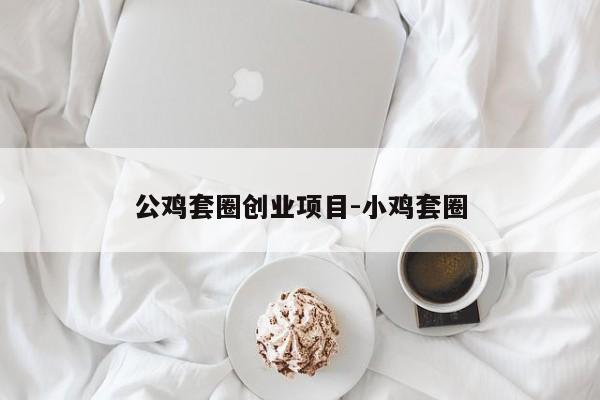 公鸡套圈创业项目-小鸡套圈