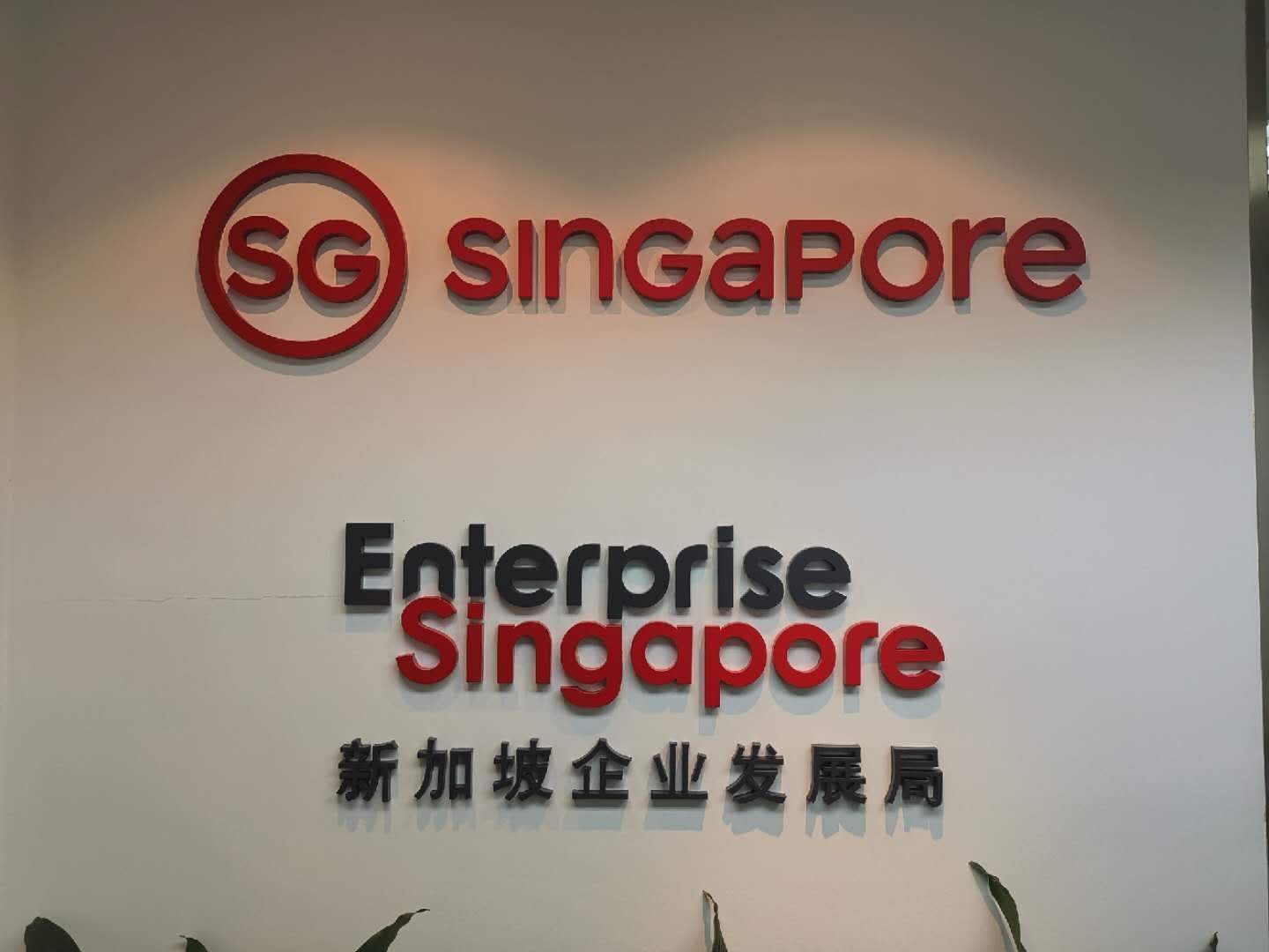 成都注册新加坡企业步骤及费用的简单介绍
