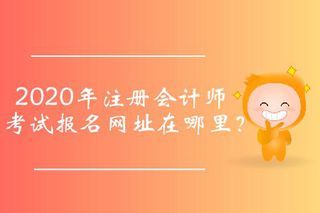 成都注册会计师在哪里报考培训(成都注册会计师在哪里报考培训好)