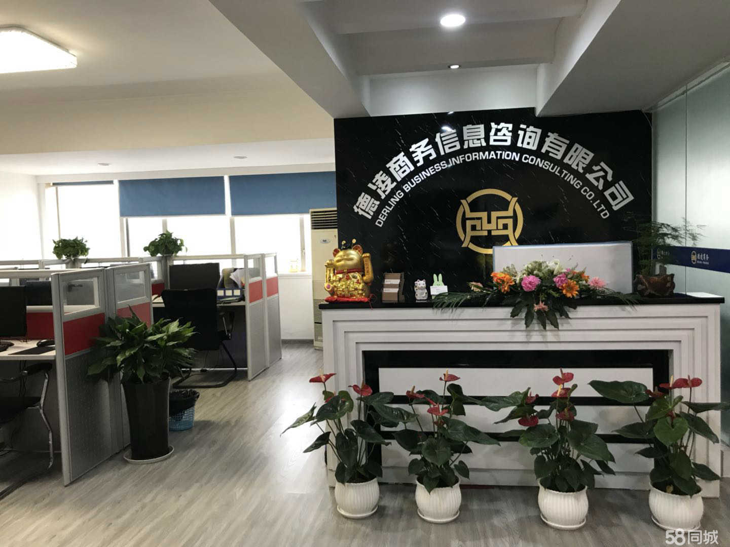 成都注册企业咨询公司需要什么条件(成都注册企业咨询公司需要什么条件和资质)