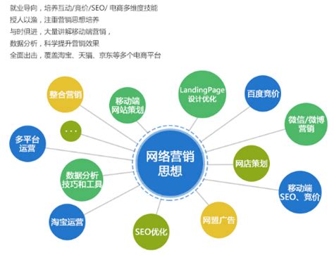 旺道seo(旺道旺金驴三宝)