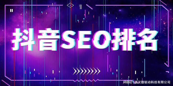 抖音seo培训(抖音SEO排名系统)