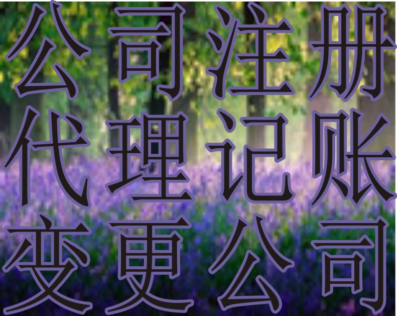 成都哪个代理注册公司最好(成都哪个代理注册公司最好做)