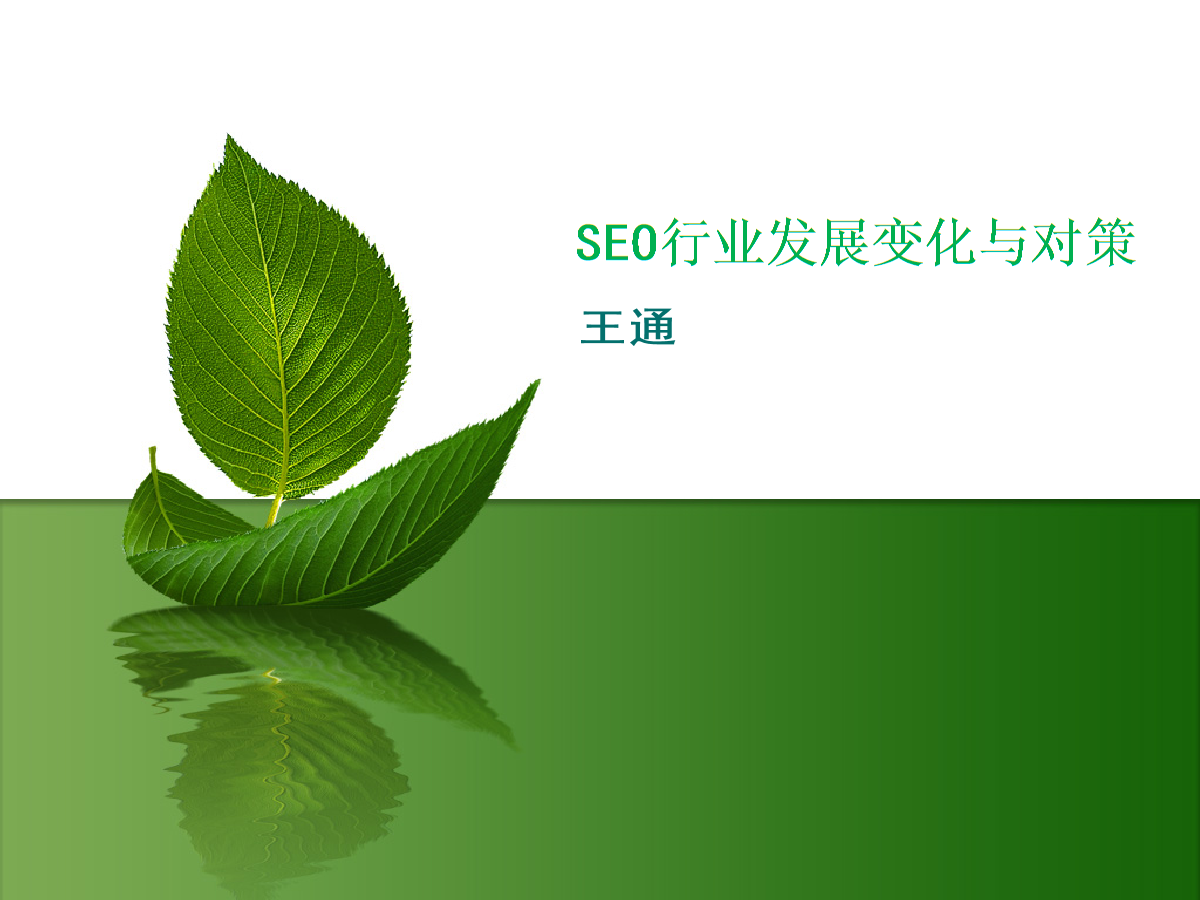 王通seo(王通识人的智慧)