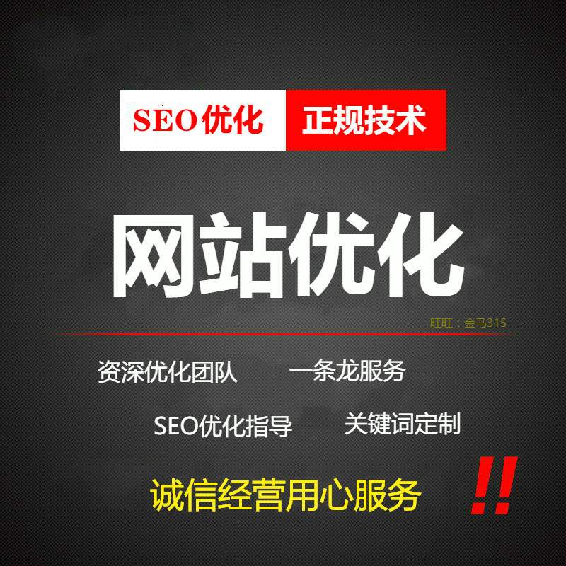 网站seo视频(网站seo视频教程)